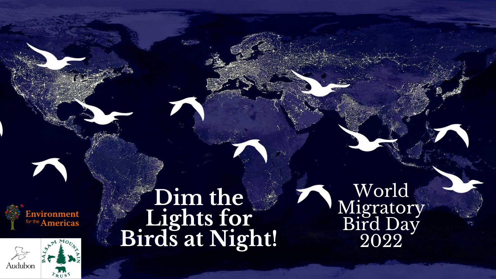 6th Annual World Migratory Bird Day Festival